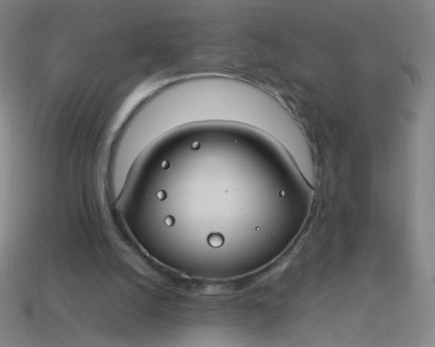 X0000113760056200910141056