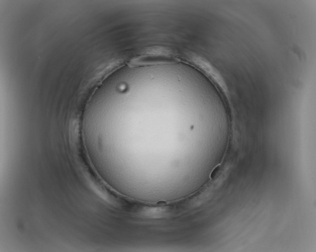 X0000113760057200910141056