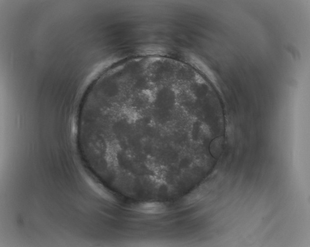 X0000113760059200910141056