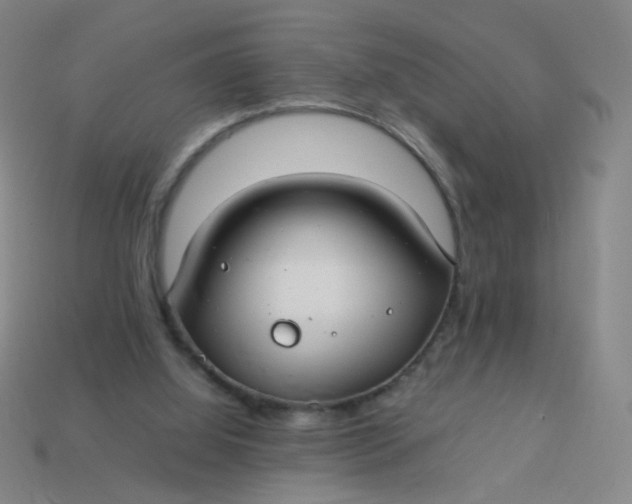 X0000113760060200910141056