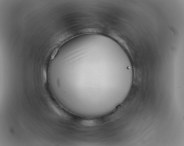 X0000113760061200910141056