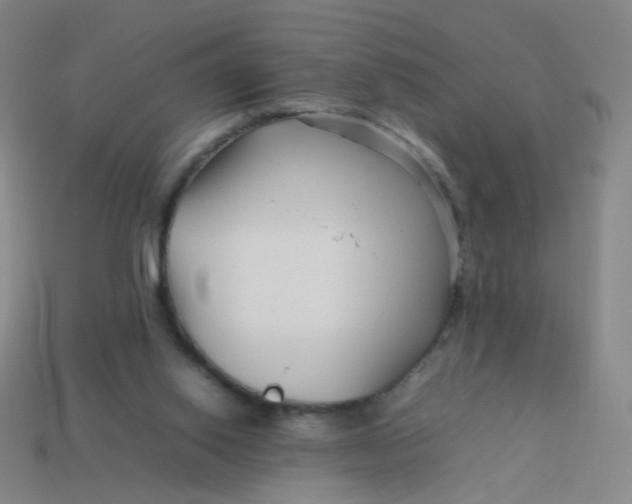 X0000113760062200910141056