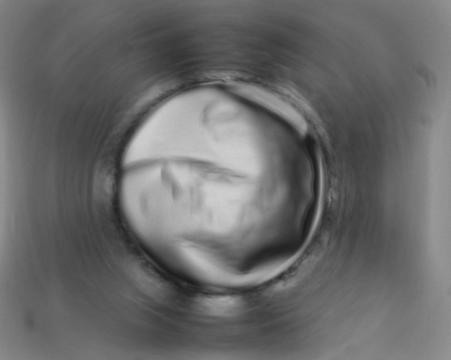 X0000113760063200910141056