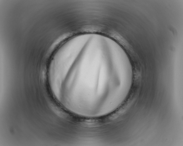 X0000113760064200910141056