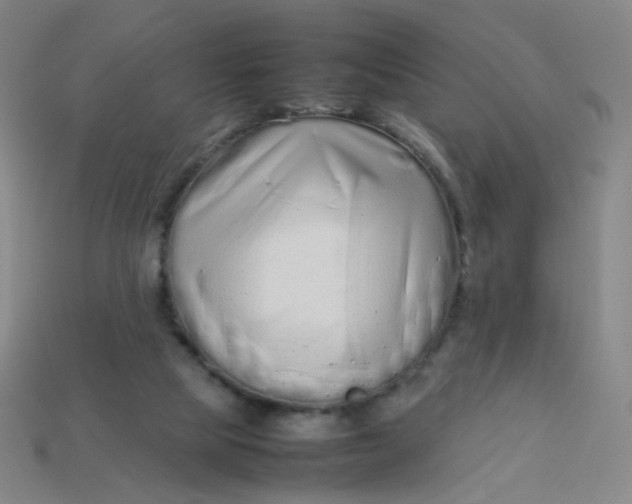 X0000113760065200910141056