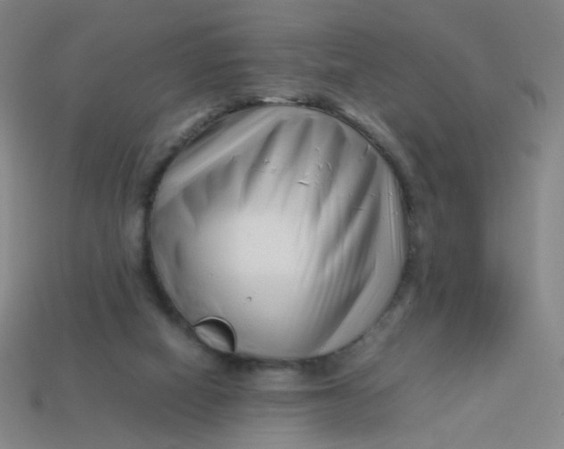 X0000113760066200910141056