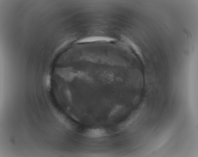 X0000113760067200910141057