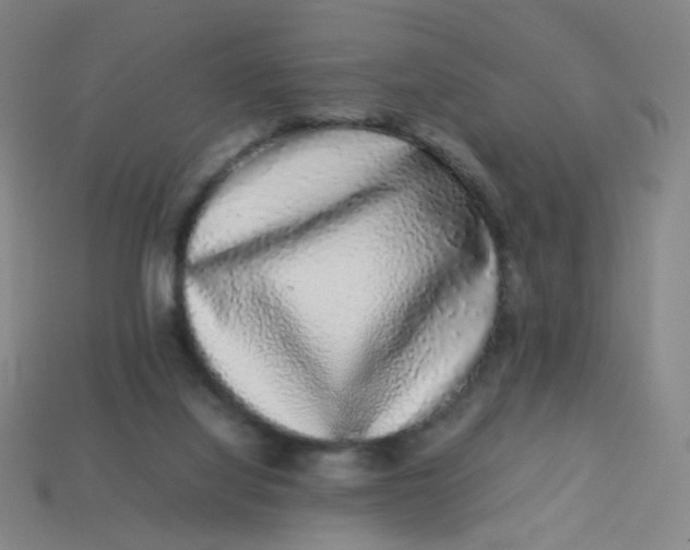 X0000113760068200910141057