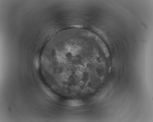 X0000113760069200910141057