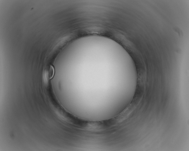 X0000113760070200910141057