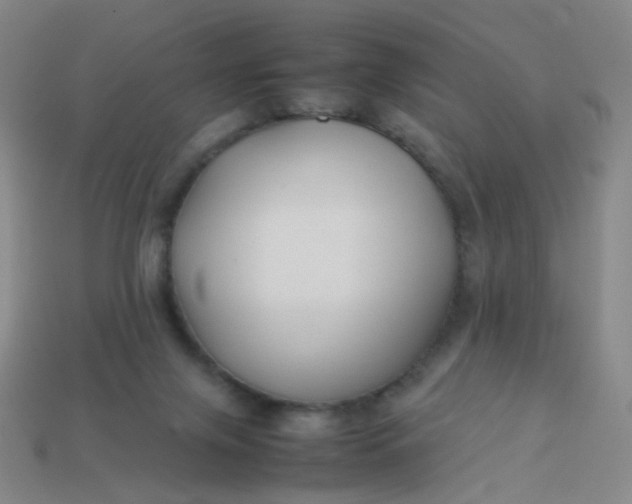 X0000113760071200910141057