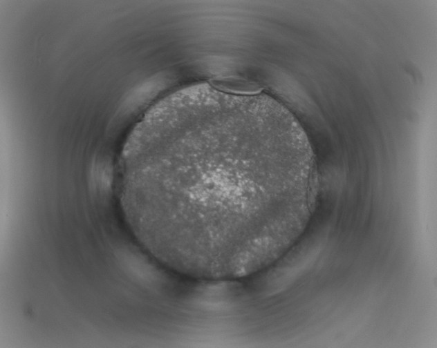 X0000113760072200910141057