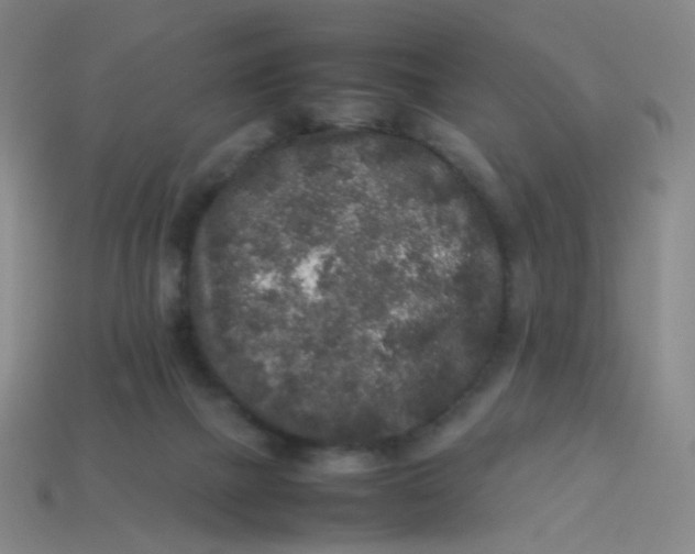 X0000113760073200910141057