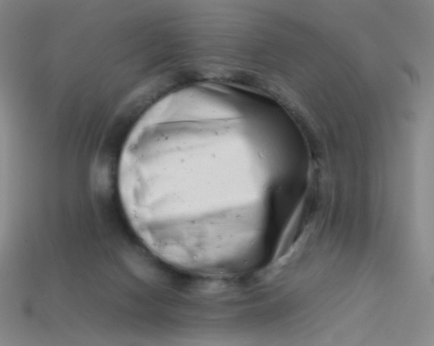 X0000113760074200910141057