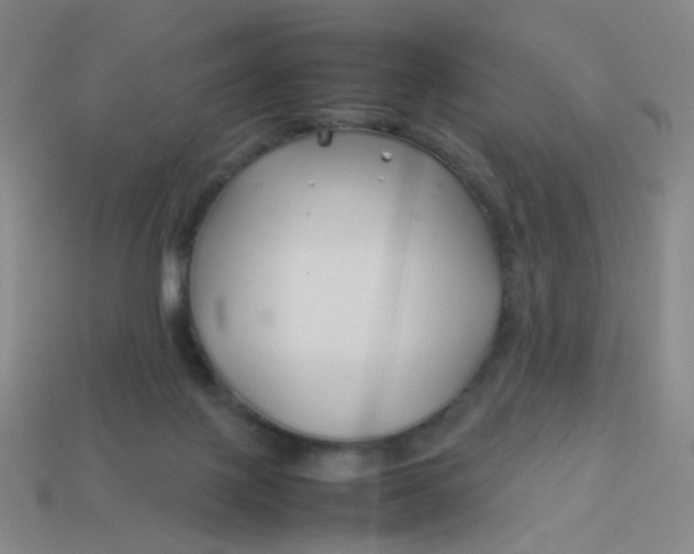 X0000113760075200910141057