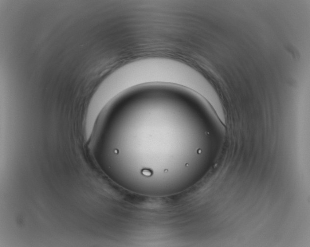 X0000113760076200910141057