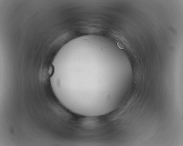 X0000113760077200910141057