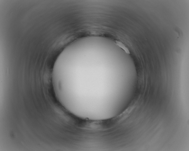 X0000113760078200910141057