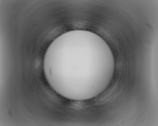 X0000113760079200910141057