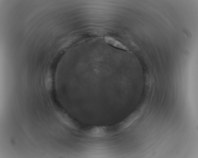 X0000113760080200910141057