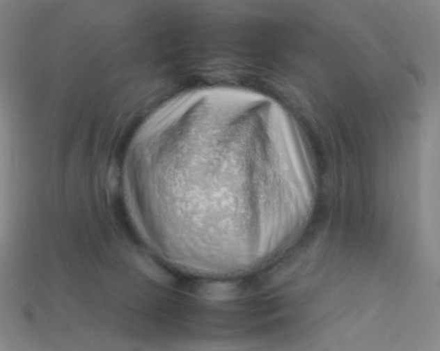 X0000113760081200910141057