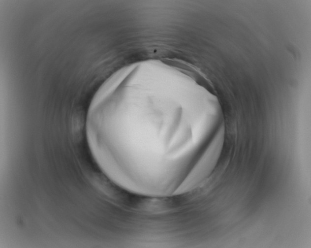 X0000113760082200910141057