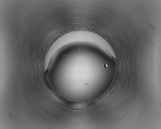 X0000113760084200910141057