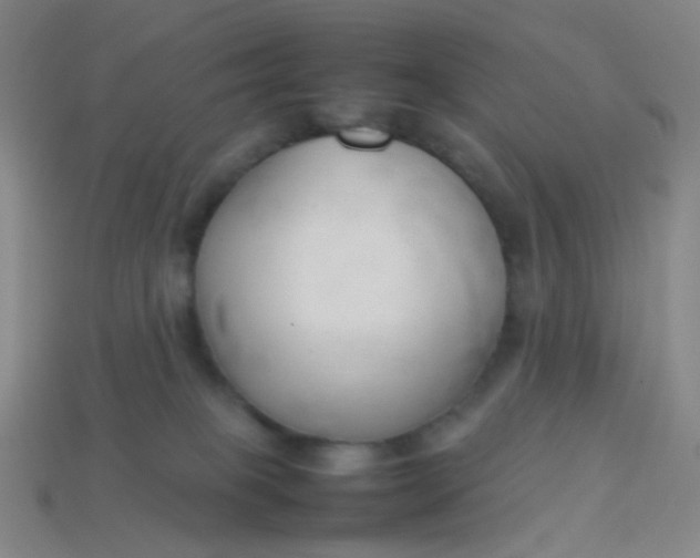 X0000113760085200910141057