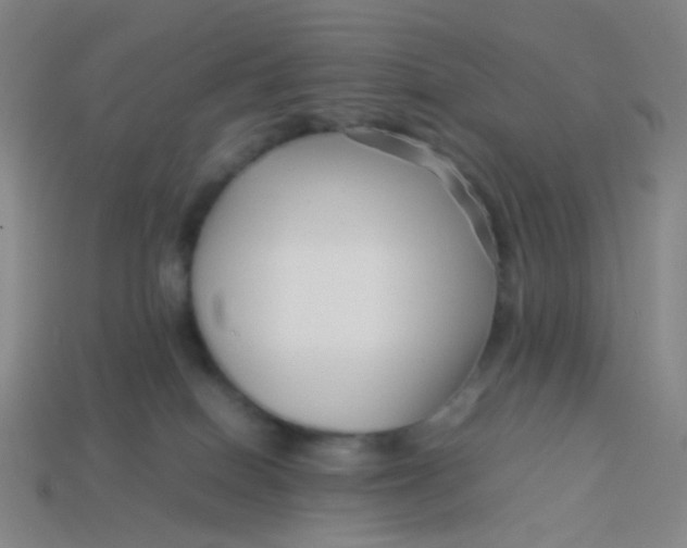 X0000113760086200910141057