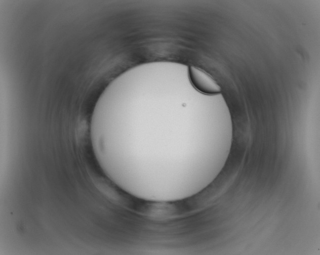 X0000113760087200910141057