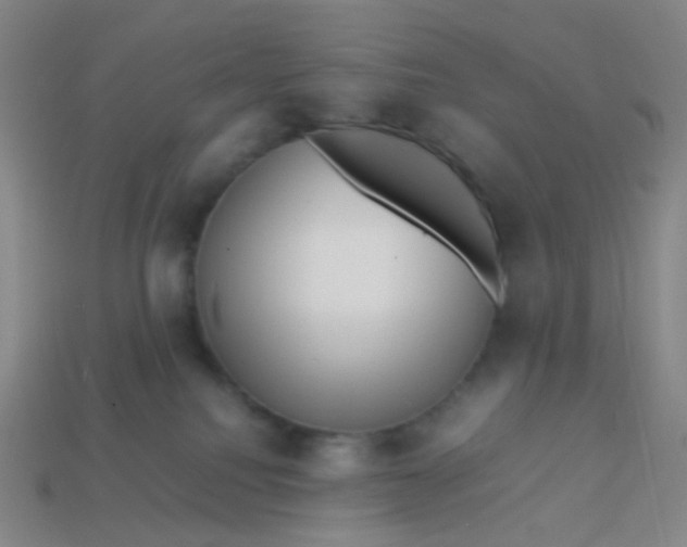 X0000113760088200910141057