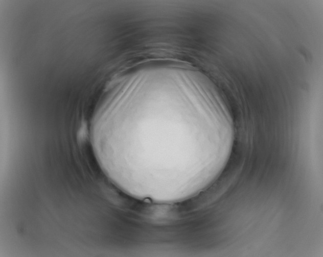 X0000113760089200910141057