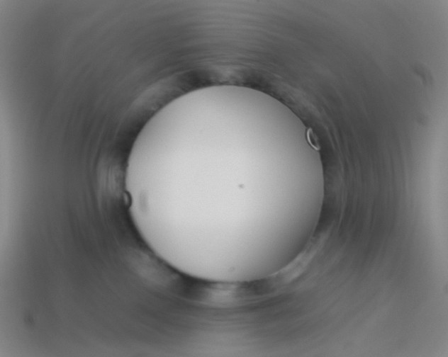 X0000113760090200910141057