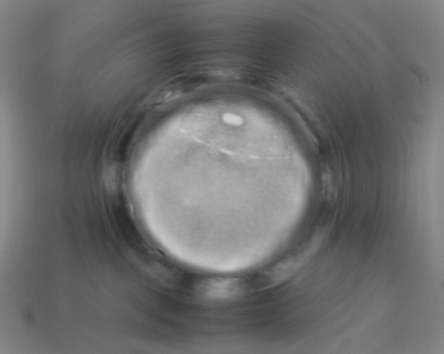 X0000113760093200910141057