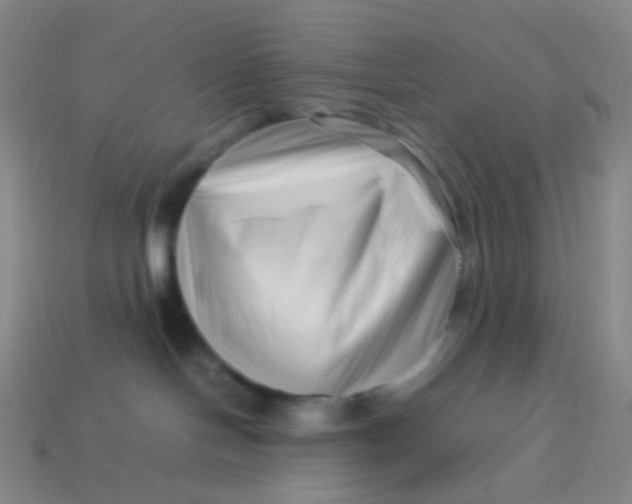 X0000113760094200910141057