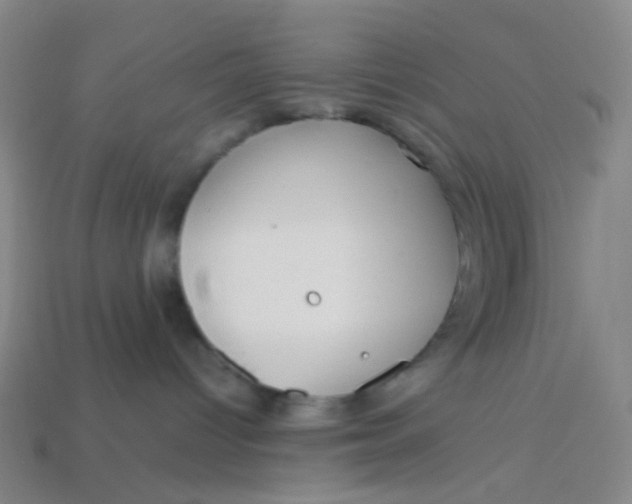 X0000113760096200910141057