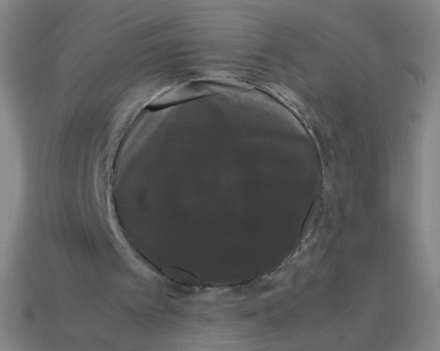 X0000113760097200910141056