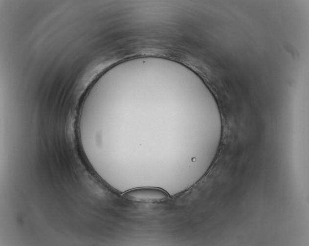 X0000113760098200910141056