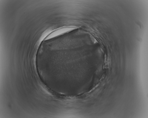 X0000113760099200910141056