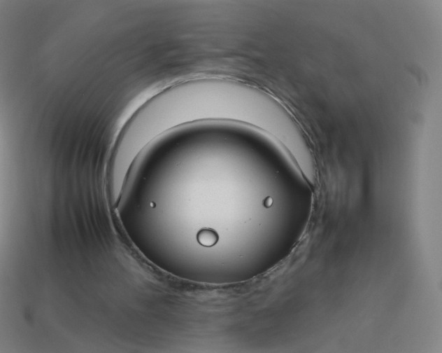 X0000113760100200910141056