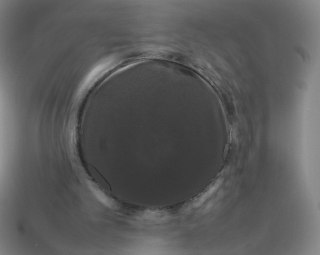 X0000113760101200910141056