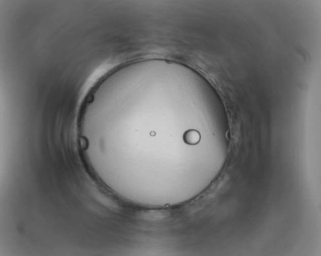 X0000113760102200910141056