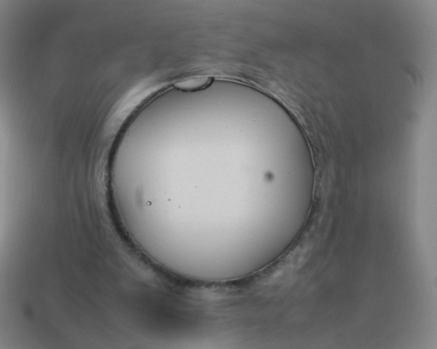 X0000113760103200910141056