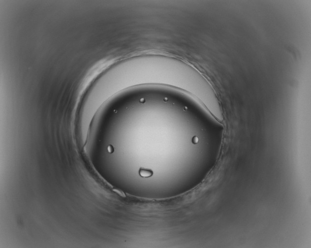 X0000113760104200910141056