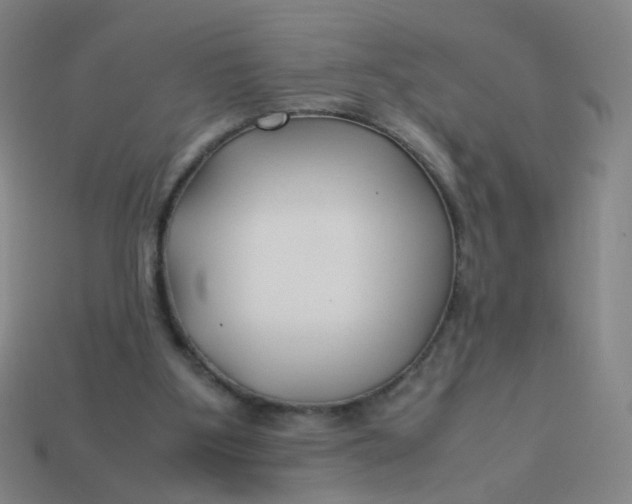 X0000113760107200910141056