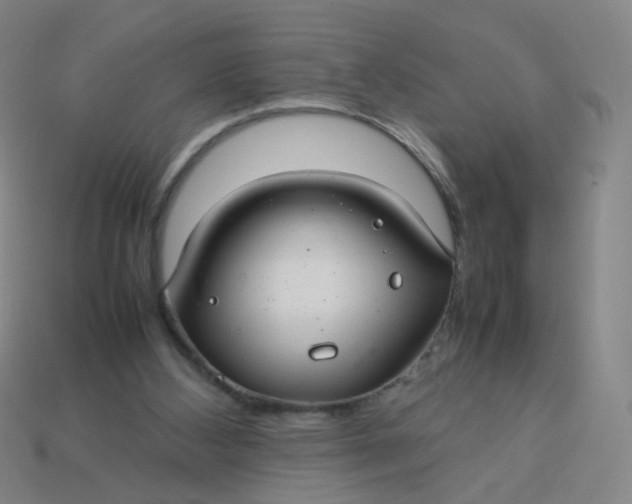 X0000113760108200910141056