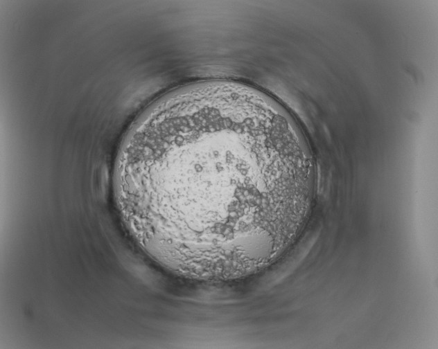 X0000113760109200910141056