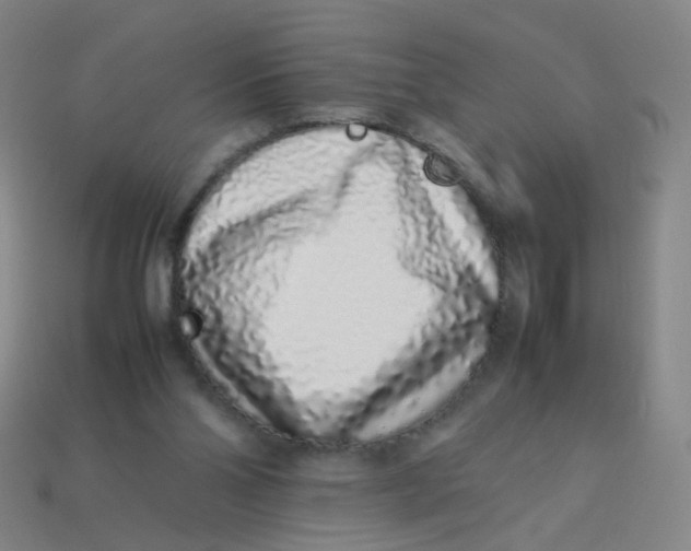 X0000113760110200910141056