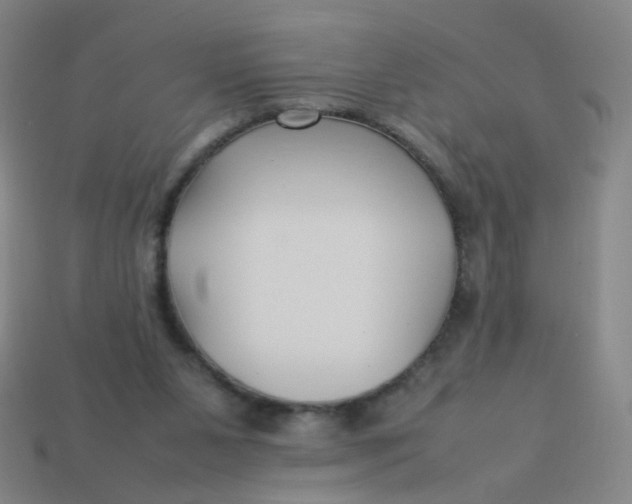 X0000113760111200910141056