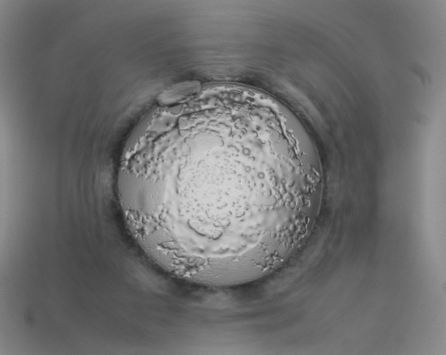 X0000113760113200910141056